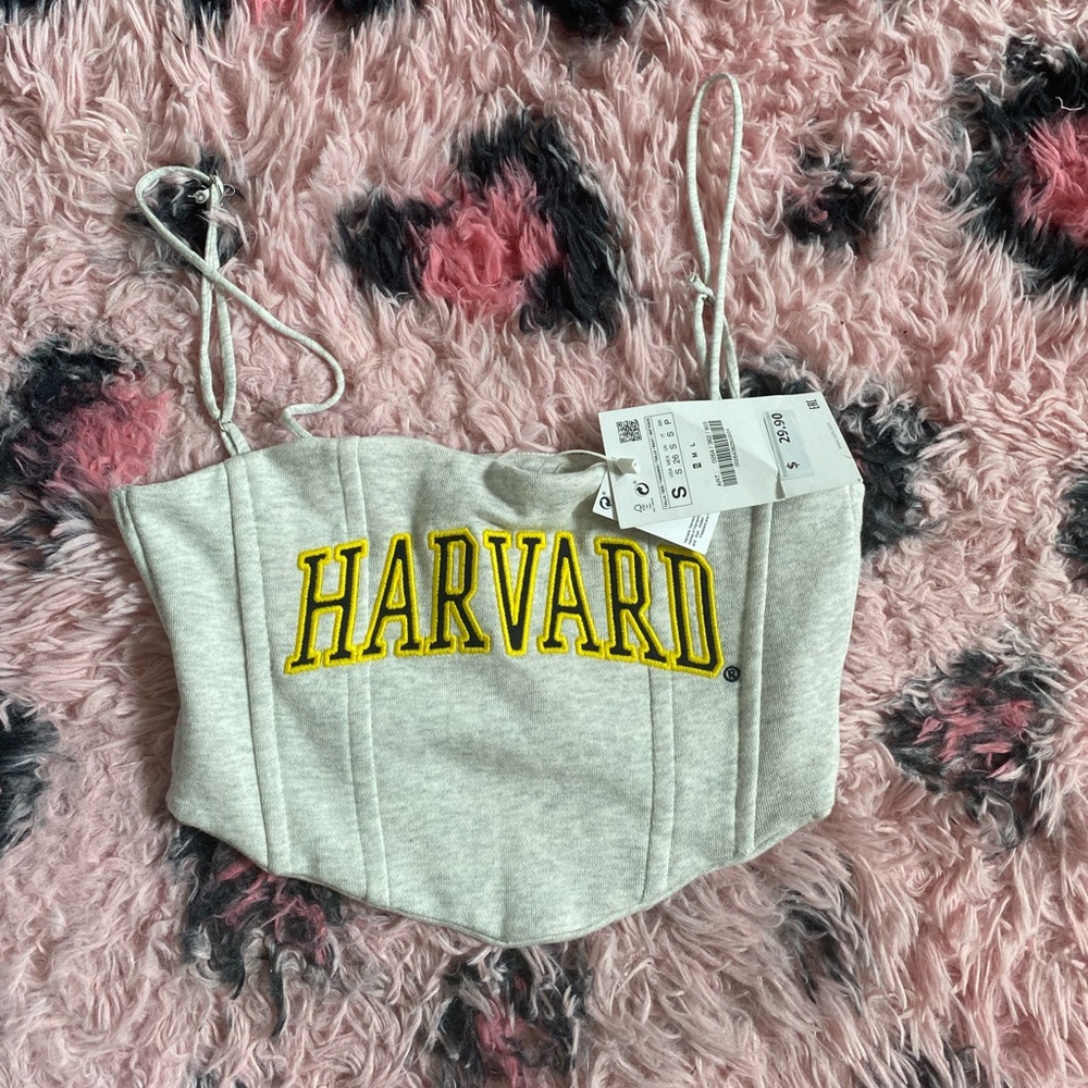 Zara College Harvard University crop top